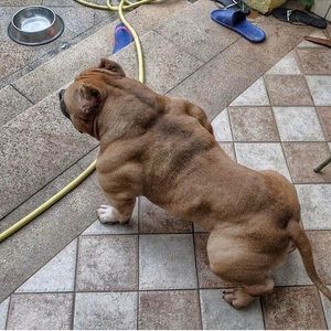 Meet your Posher, Sean